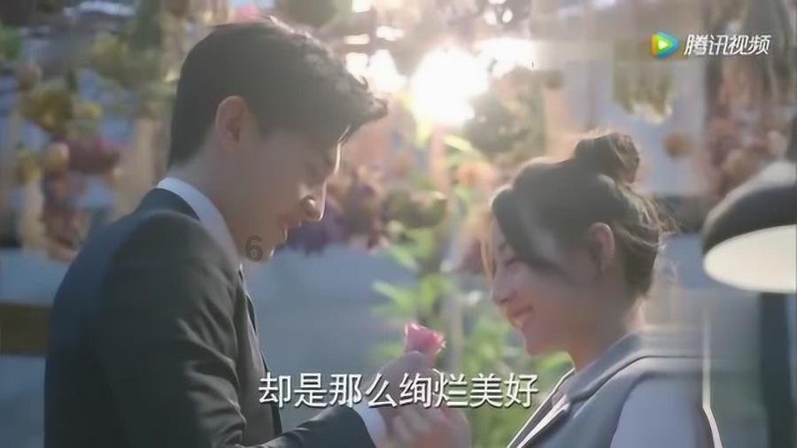 沙糖桔丰收 果农采摘忙
